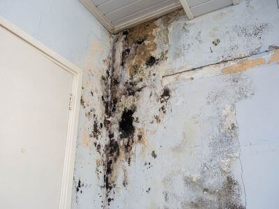 About Treasure Coast Water Damage - water damage restoration treasure coast experts in Port St. Lucie
